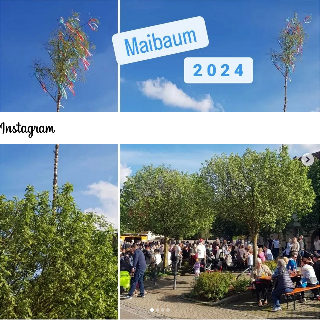 Maibaum 2024